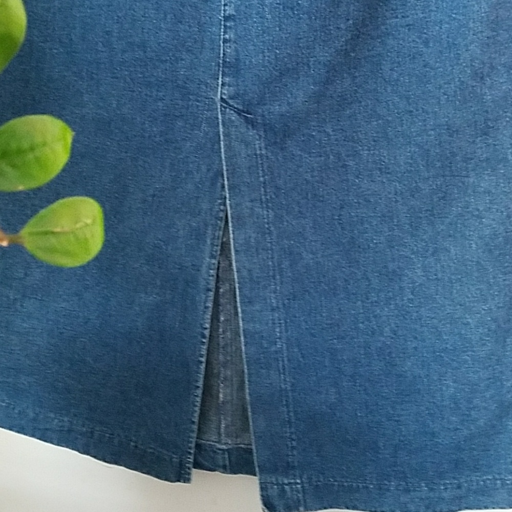 Lee Denim Maxi Skirt - Picture 7 of 7